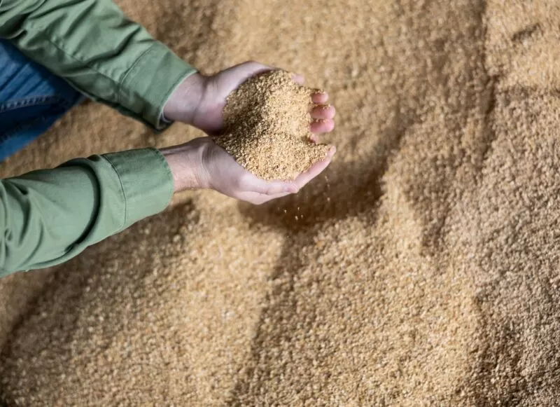 Farelo e grãos para nutrição animal