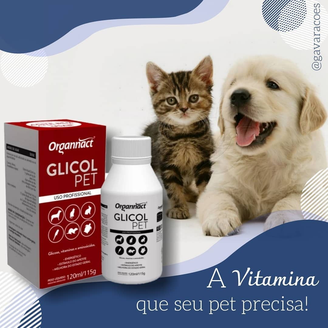 Glicol Pet Organnact, vitamina para cães e gatos