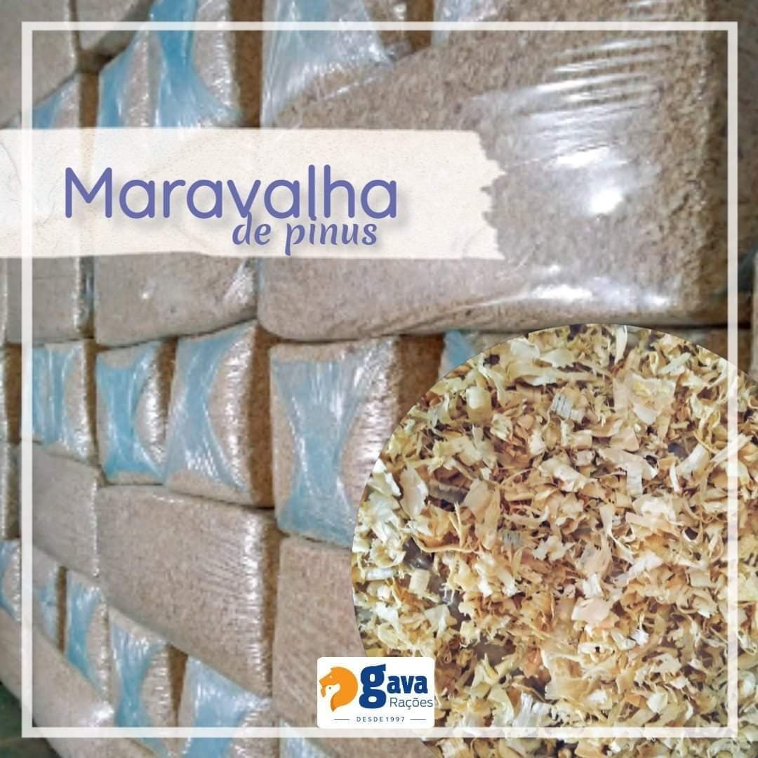 Fardos de maravalha de pinus