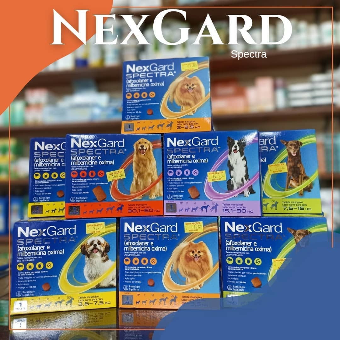 NexGard Spectra antipulgas e carrapatos para cães
