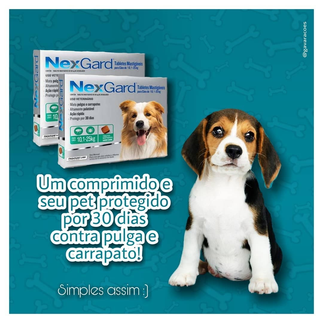 NexGard tabletes mastigáveis contra pulgas e carrapatos